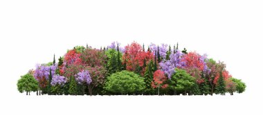 group of trees with a shadow on the ground, isolated on a white background, trees in the forest, 3D illustration