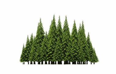 group of trees with a shadow on the ground, isolated on a white background, trees in the forest, 3D illustration