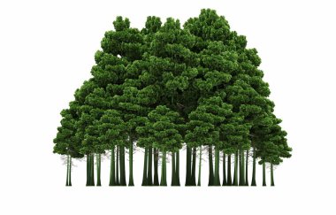 group of trees with a shadow on the ground, isolated on a white background, trees in the forest, 3D illustration