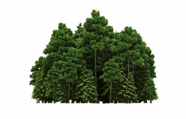 group of trees with a shadow on the ground, isolated on a white background, trees in the forest, 3D illustration