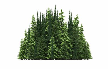 group of trees with a shadow on the ground, isolated on a white background, trees in the forest, 3D illustration