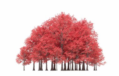 group of trees with a shadow on the ground, isolated on a white background, trees in the forest, 3D illustration