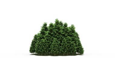 group of trees with a shadow on the ground, isolated on a white background, trees in the forest, 3D illustration