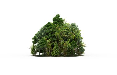 group of trees with a shadow on the ground, isolated on a white background, trees in the forest, 3D illustration