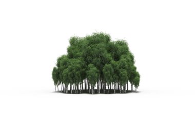 group of trees with a shadow on the ground, isolated on a white background, trees in the forest, 3D illustration