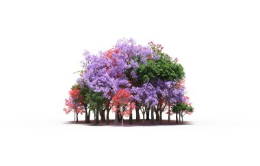 group of trees with a shadow on the ground, isolated on a white background, trees in the forest, 3D illustration