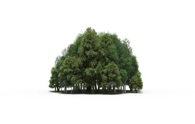group of trees with a shadow on the ground, isolated on a white background, trees in the forest, 3D illustration
