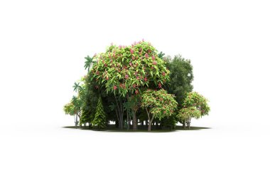 group of trees with a shadow on the ground, isolated on a white background, trees in the forest, 3D illustration