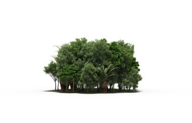 group of trees with a shadow on the ground, isolated on a white background, trees in the forest, 3D illustration