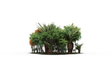 group of trees with a shadow on the ground, isolated on a white background, trees in the forest, 3D illustration