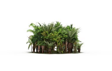 group of trees with a shadow on the ground, isolated on a white background, trees in the forest, 3D illustration