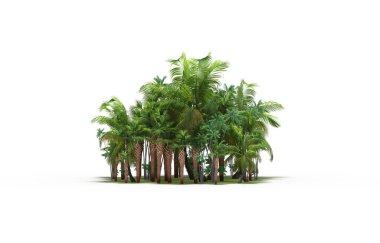 group of trees with a shadow on the ground, isolated on a white background, trees in the forest, 3D illustration