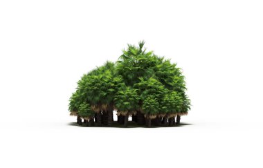 group of trees with a shadow on the ground, isolated on a white background, trees in the forest, 3D illustration