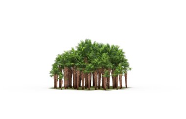 group of trees with a shadow on the ground, isolated on a white background, trees in the forest, 3D illustration