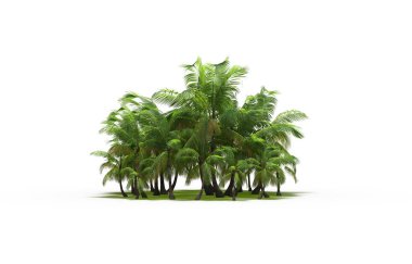 group of trees with a shadow on the ground, isolated on a white background, trees in the forest, 3D illustration