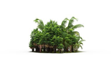 group of trees with a shadow on the ground, isolated on a white background, trees in the forest, 3D illustration