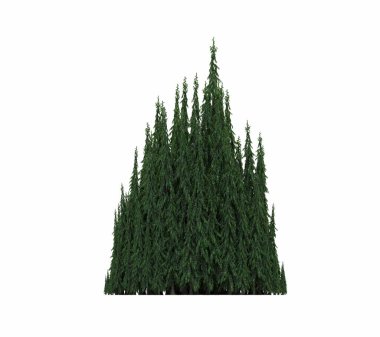 group of trees with a shadow on the ground, isolated on a white background, trees in the forest, 3D illustration