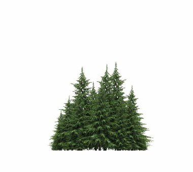 group of trees with a shadow on the ground, isolated on a white background, trees in the forest, 3D illustration