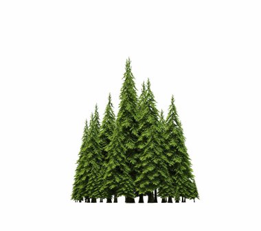 group of trees with a shadow on the ground, isolated on a white background, trees in the forest, 3D illustration