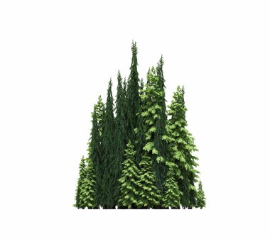 group of trees with a shadow on the ground, isolated on a white background, trees in the forest, 3D illustration