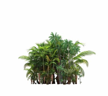 group of trees with a shadow on the ground, isolated on a white background, trees in the forest, 3D illustration