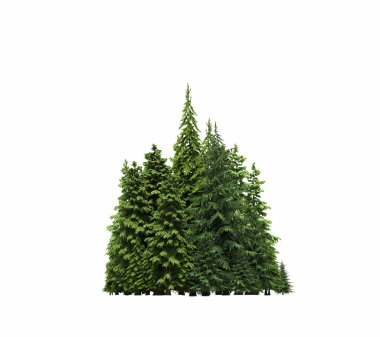 group of trees with a shadow on the ground, isolated on a white background, trees in the forest, 3D illustration