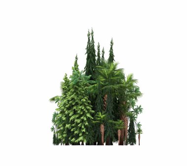 group of trees with a shadow on the ground, isolated on a white background, trees in the forest, 3D illustration