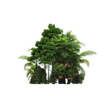 group of trees with a shadow on the ground, isolated on a white background, trees in the forest, 3D illustration