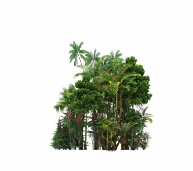 group of trees with a shadow on the ground, isolated on a white background, trees in the forest, 3D illustration