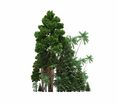 group of trees with a shadow on the ground, isolated on a white background, trees in the forest, 3D illustration