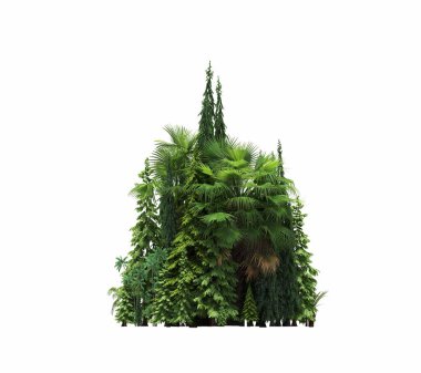 group of trees with a shadow on the ground, isolated on a white background, trees in the forest, 3D illustration