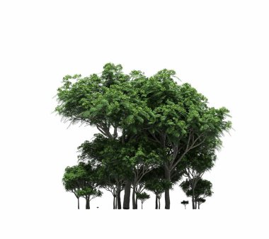 group of trees with a shadow on the ground, isolated on a white background, trees in the forest, 3D illustration