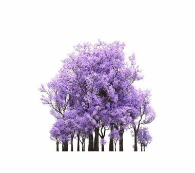 group of trees with a shadow on the ground, isolated on a white background, trees in the forest, 3D illustration