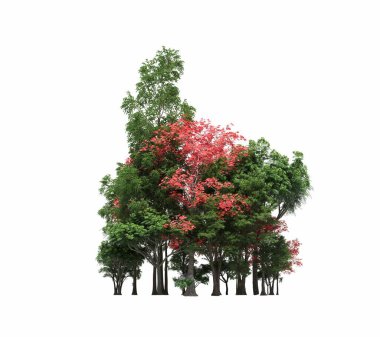 group of trees with a shadow on the ground, isolated on a white background, trees in the forest, 3D illustration