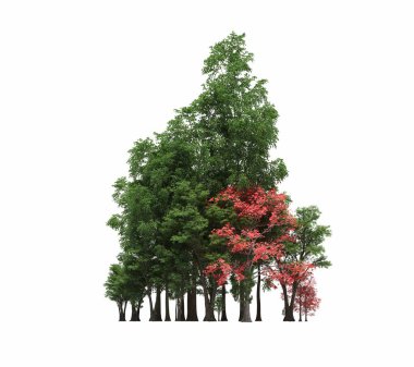 group of trees with a shadow on the ground, isolated on a white background, trees in the forest, 3D illustration