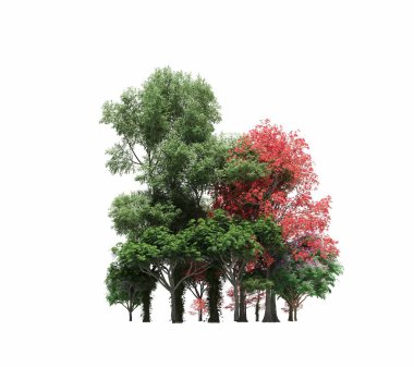 group of trees with a shadow on the ground, isolated on a white background, trees in the forest, 3D illustration