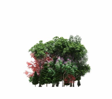 group of trees with a shadow on the ground, isolated on a white background, trees in the forest, 3D illustration