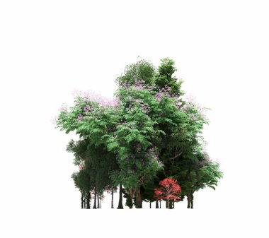 group of trees with a shadow on the ground, isolated on a white background, trees in the forest, 3D illustration