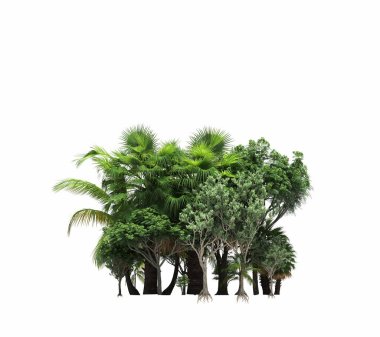 group of trees with a shadow on the ground, isolated on a white background, trees in the forest, 3D illustration