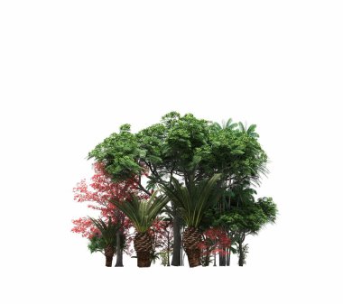 group of trees with a shadow on the ground, isolated on a white background, trees in the forest, 3D illustration
