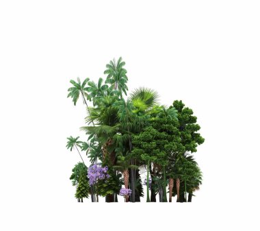 group of trees with a shadow on the ground, isolated on a white background, trees in the forest, 3D illustration