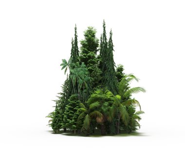 group of trees with a shadow on the ground, isolated on a white background, trees in the forest, 3D illustration