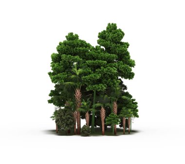 group of trees with a shadow on the ground, isolated on a white background, trees in the forest, 3D illustration