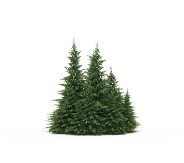 group of trees with a shadow on the ground, isolated on a white background, trees in the forest, 3D illustration