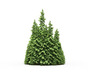 group of trees with a shadow on the ground, isolated on a white background, trees in the forest, 3D illustration