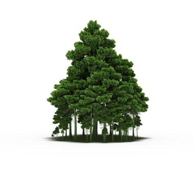group of trees with a shadow on the ground, isolated on a white background, trees in the forest, 3D illustration