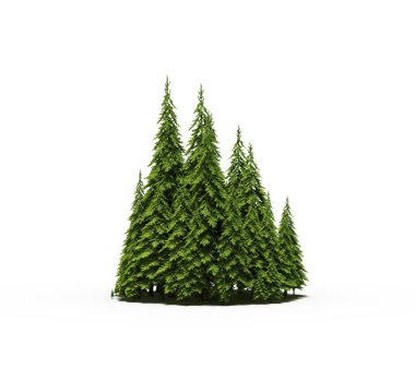 group of trees with a shadow on the ground, isolated on a white background, trees in the forest, 3D illustration