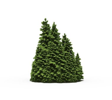 group of trees with a shadow on the ground, isolated on a white background, trees in the forest, 3D illustration