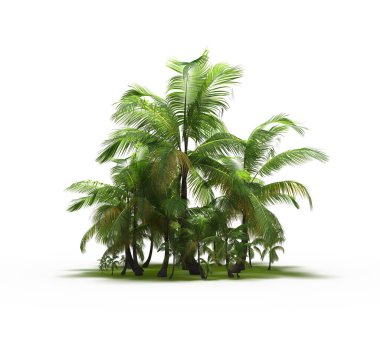 group of trees with a shadow on the ground, isolated on a white background, trees in the forest, 3D illustration