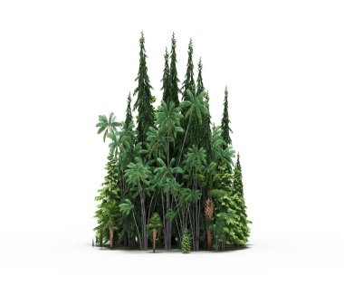 group of trees with a shadow on the ground, isolated on a white background, trees in the forest, 3D illustration